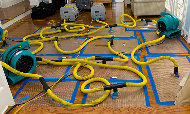 Professional Water Damage Restoration technician working in Etna, PA